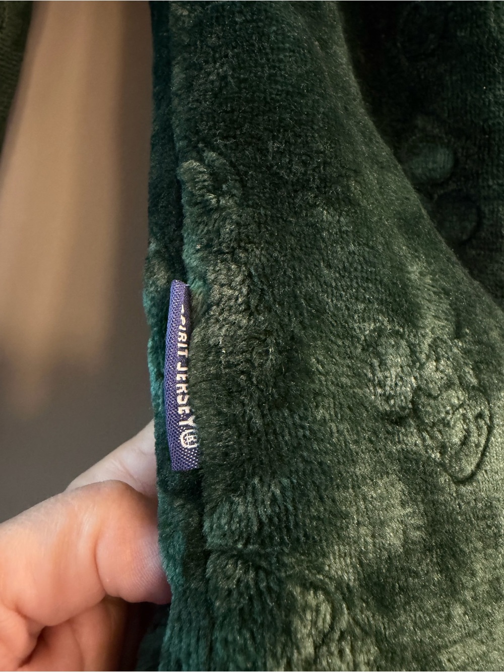Disney World Spirit Jersey Velour Sweatshirt - Picture 5 of 8